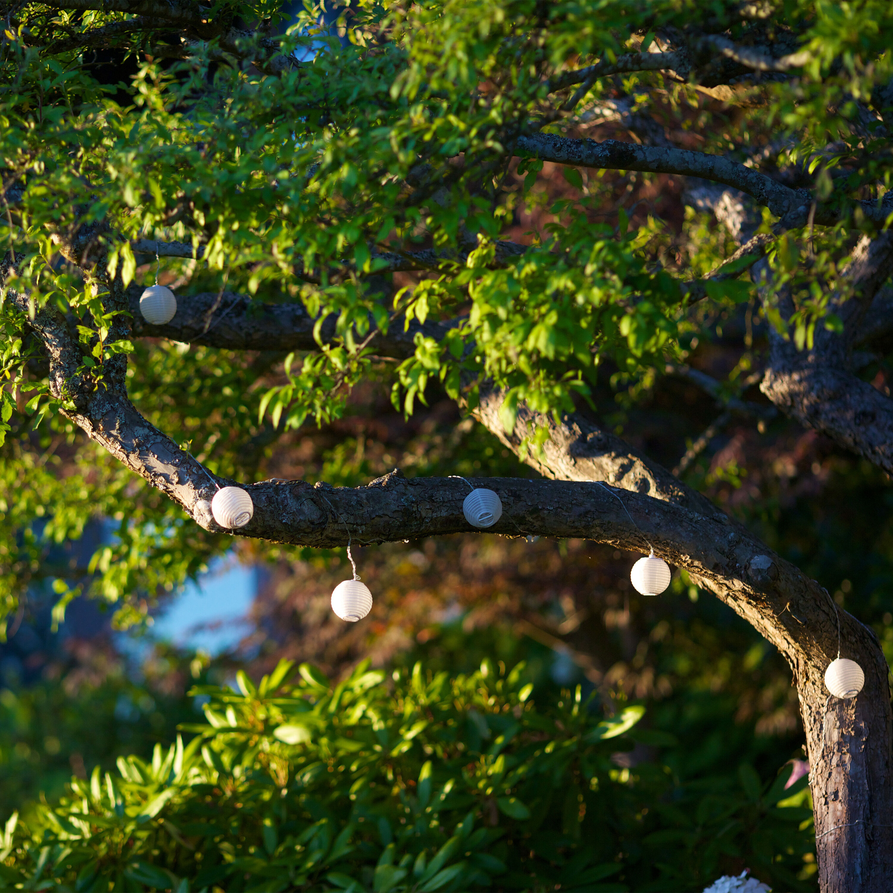 World market solar string lights discount
