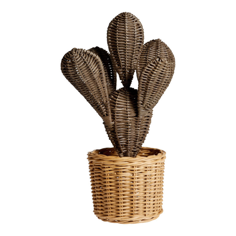 Natural and Black Woven Rattan Cactus Decor - World Market