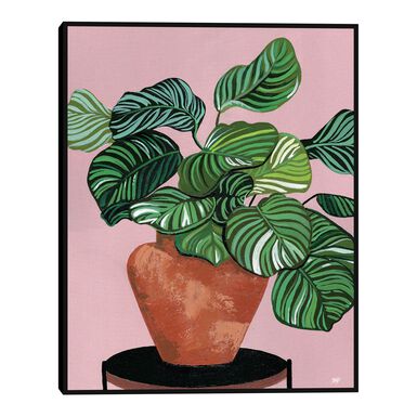 Calatheas By Bria Nicole Framed Canvas Wall Art Calatheas By Bria Nicole Framed Canvas Wall Art