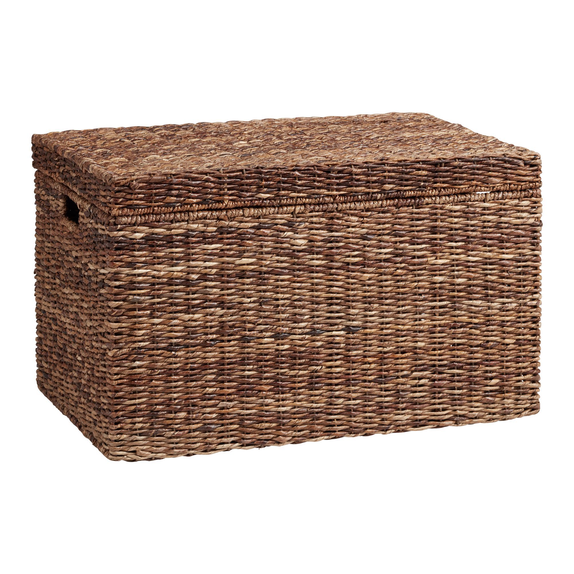 Madras Dark Brown Abaca Storage Trunk World Market