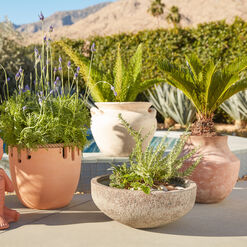 Palma Washed Terracotta Outdoor Planter