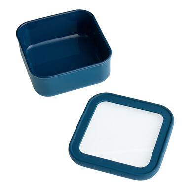Square Blue Silicone and Glass Bakeware Storage Container Square Blue Silicone and Glass Bakeware Storage Container