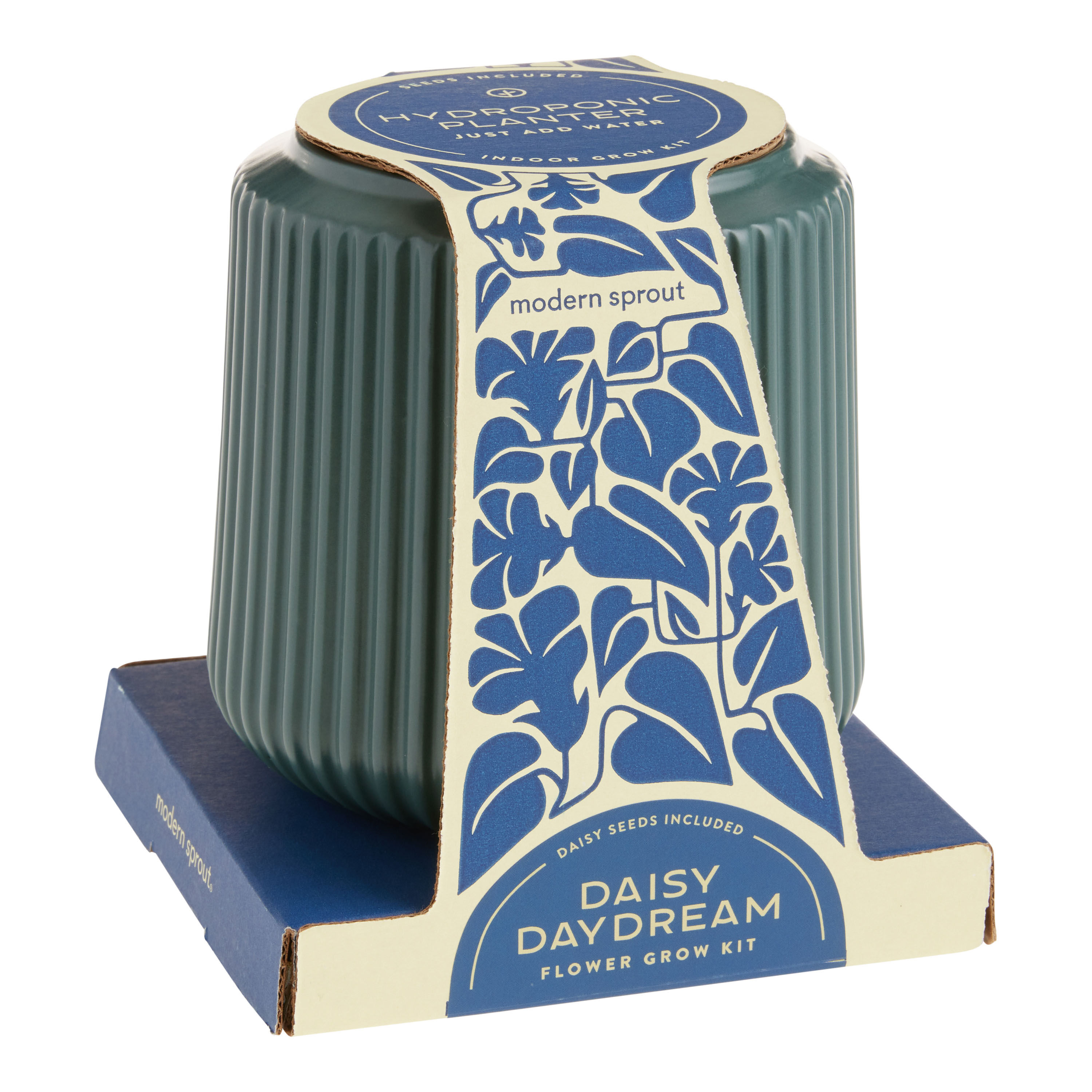 Modern Sprout Daisy Daydream Flower Grow Kit image number 0