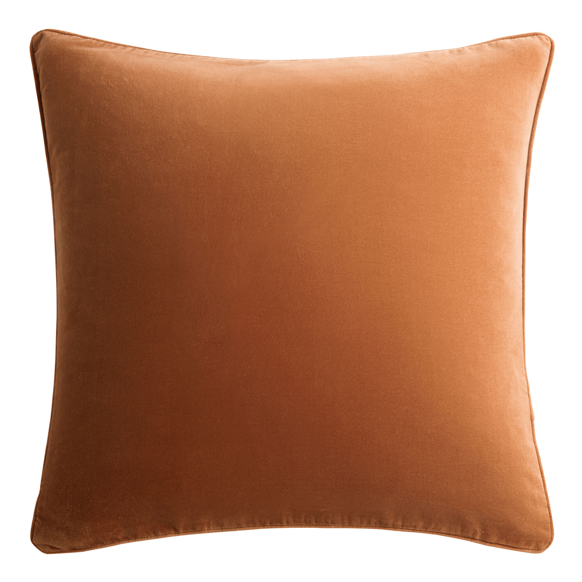 Oversized Velvet Throw Pillow by World Market