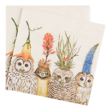Big Hat Owls Beverage Napkins 20 Count Big Hat Owls Beverage Napkins 20 Count