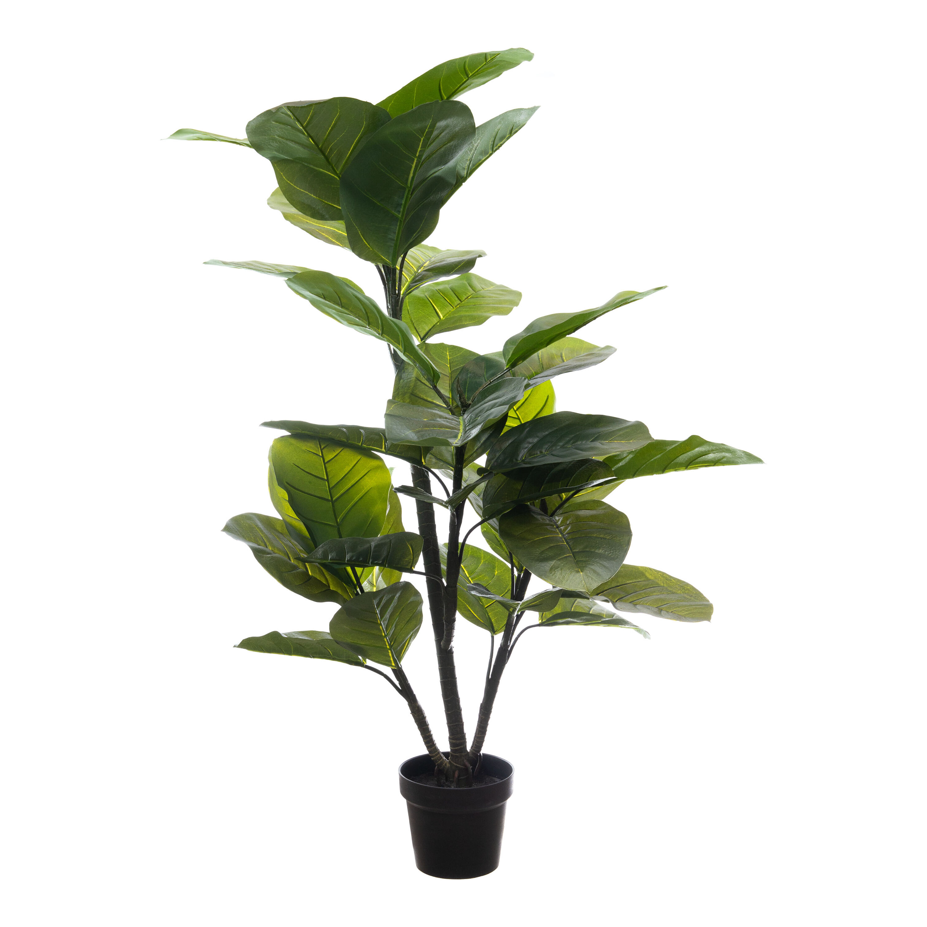 Large Faux Leaf Rubber Plant image number 0