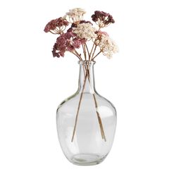 Long Neck Clear Glass Vase