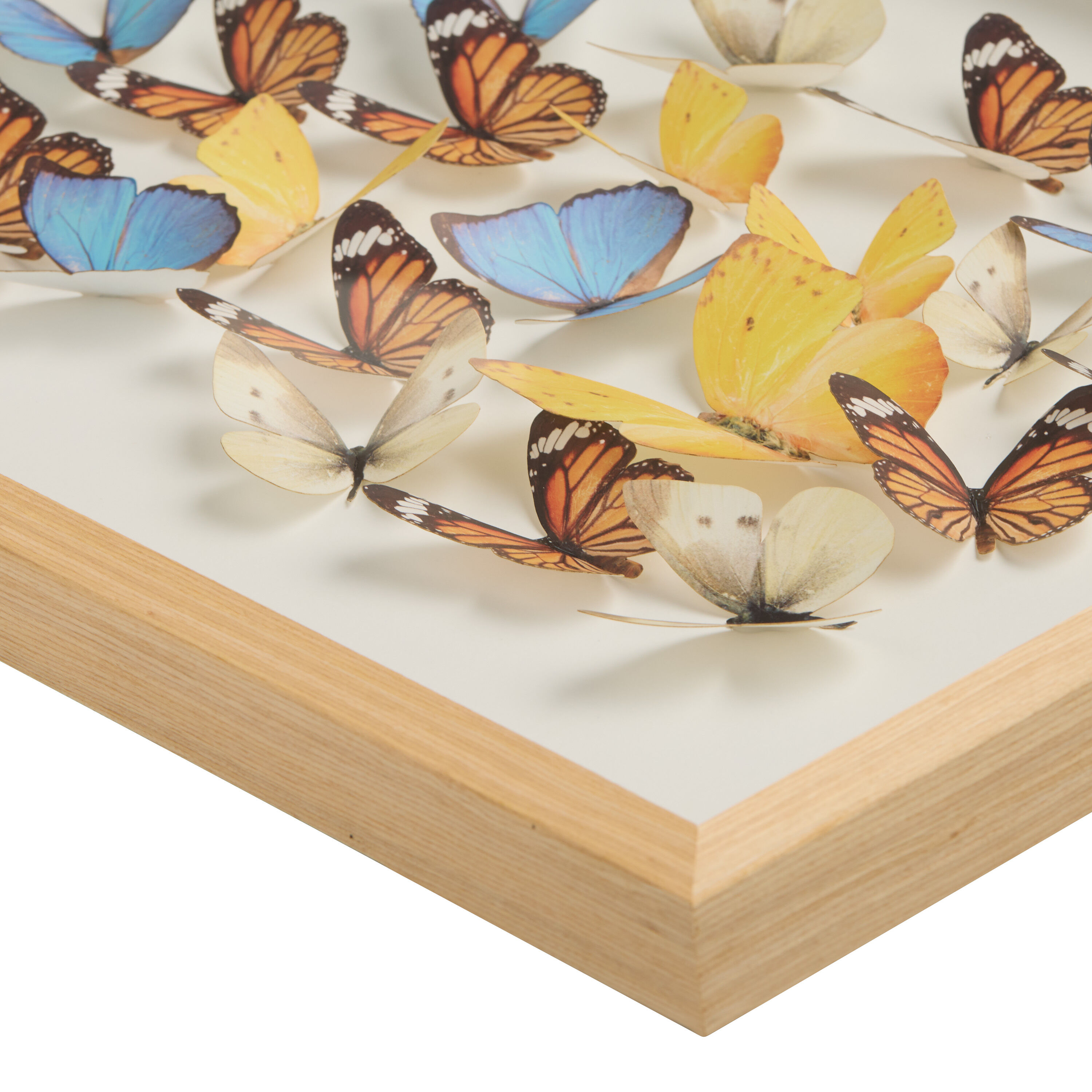 Multicolor Dimensional Butterfly Framed Wall Art image number 1