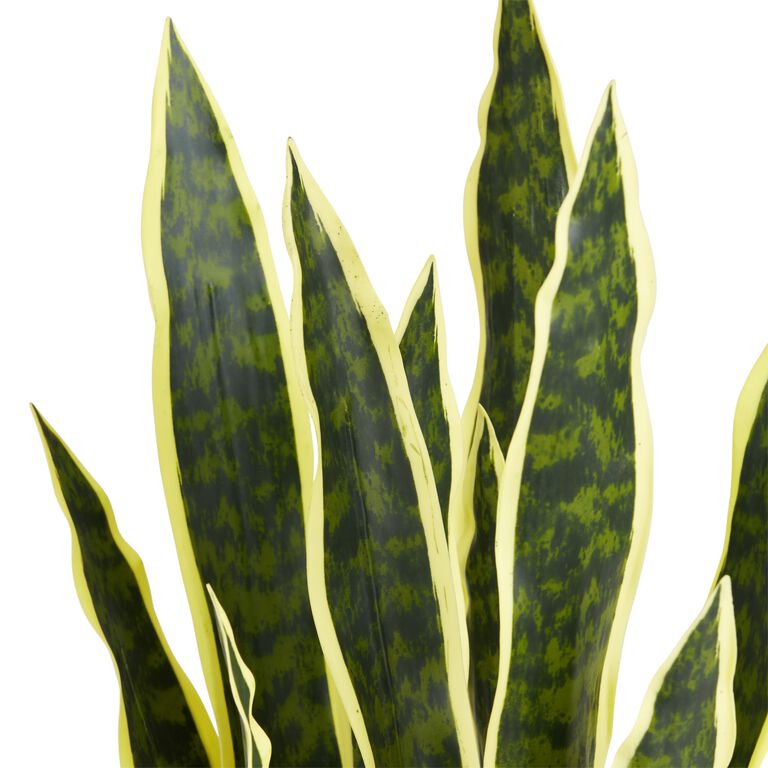 Faux Potted Greenery  Non Toxic Fake Snake Plant