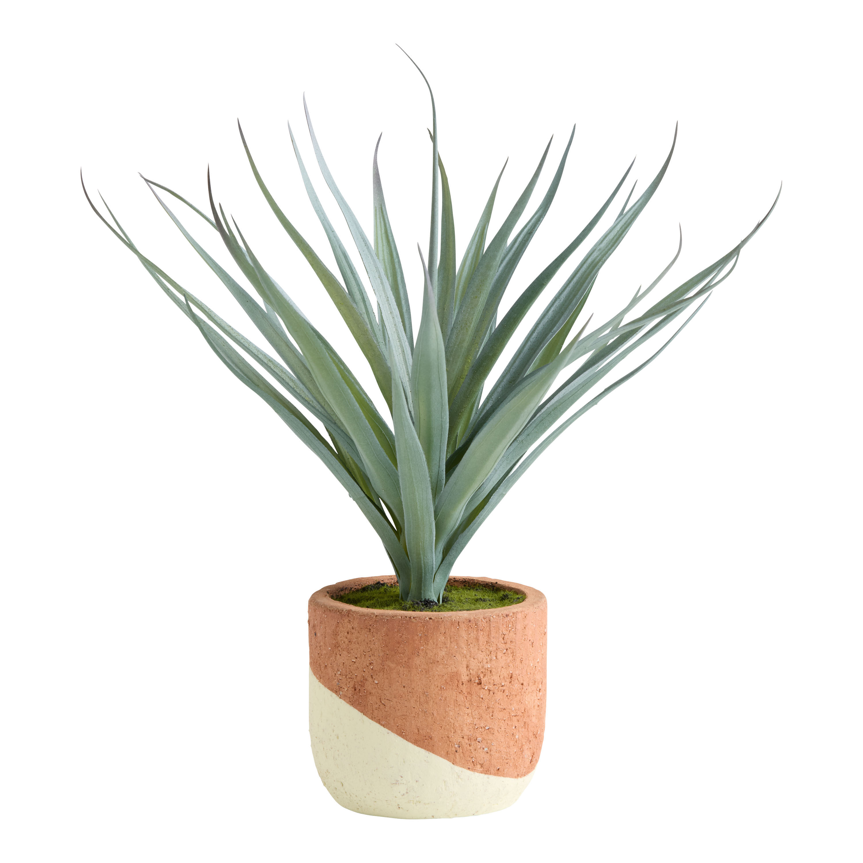 Faux Agave Plant in Ivory and Terracotta Ceramic Pot image number 0