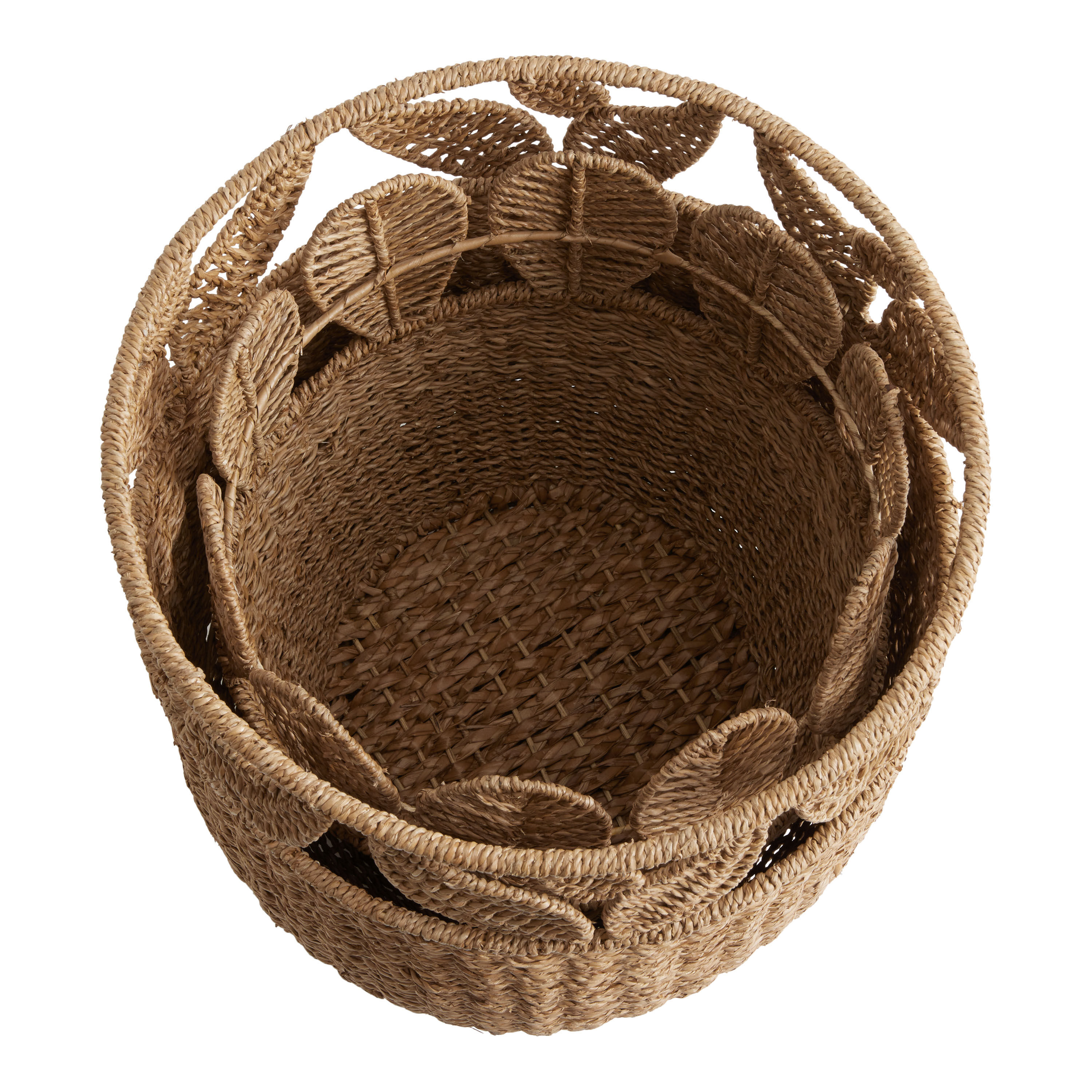 Rosa Rattan Botanical Basket World Market