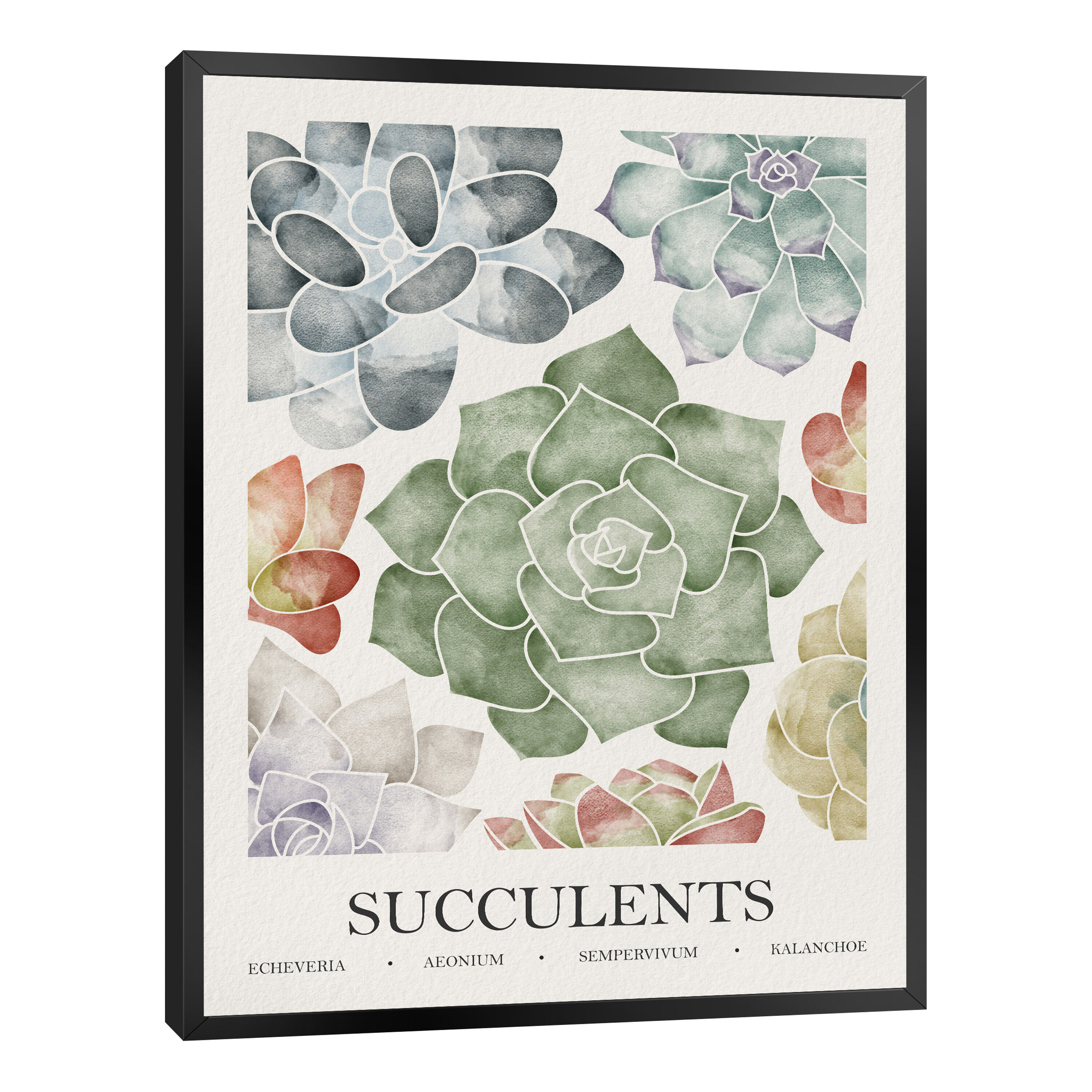 Succulents by Gia Hoang Framed Wall Art image number 2