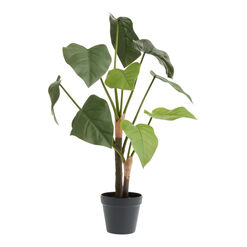 Faux Dasheen Leaf Plant