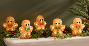 Shop Christmas Lights