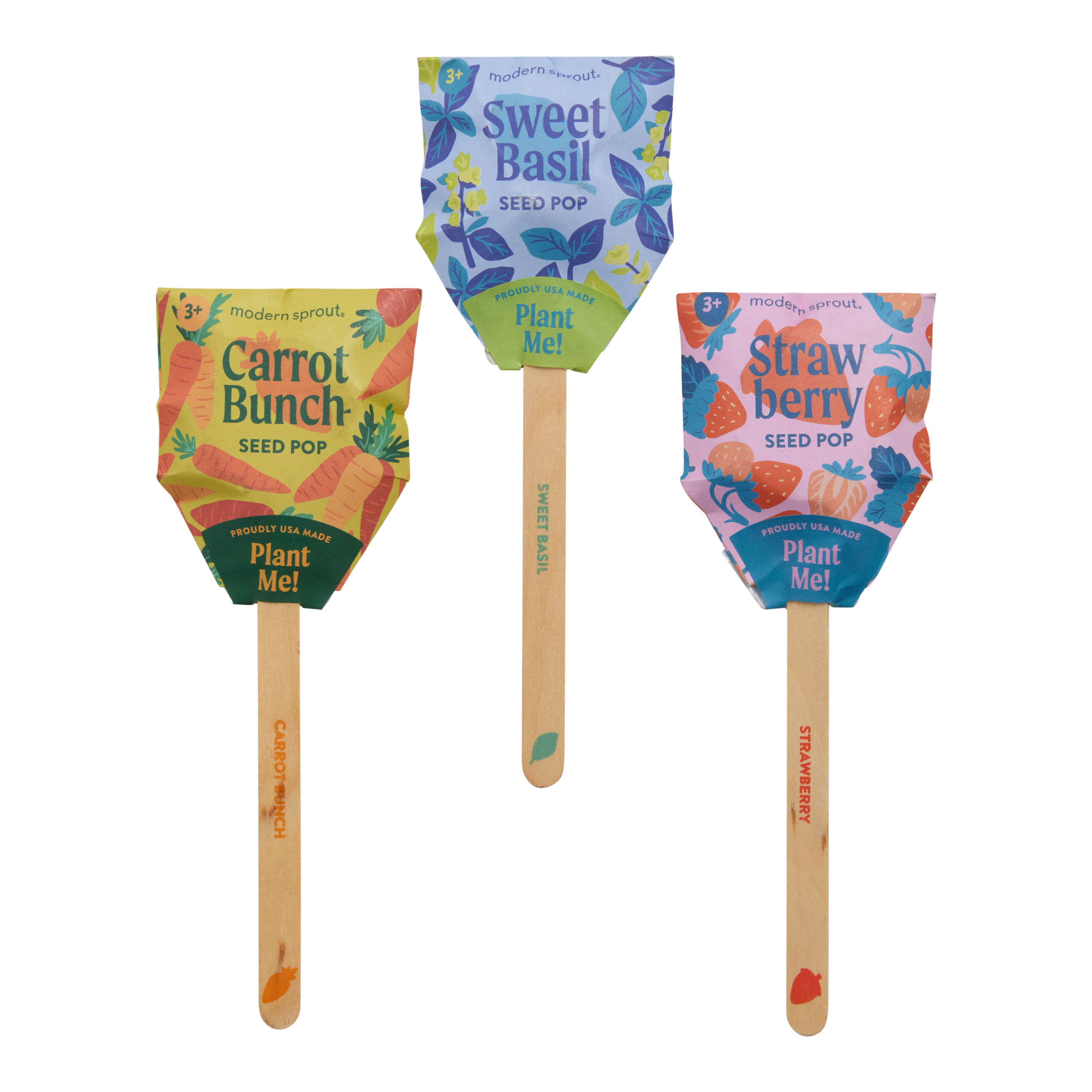 Modern Sprout Culinary Seed Lollipops Refresh Set of 3 World Market