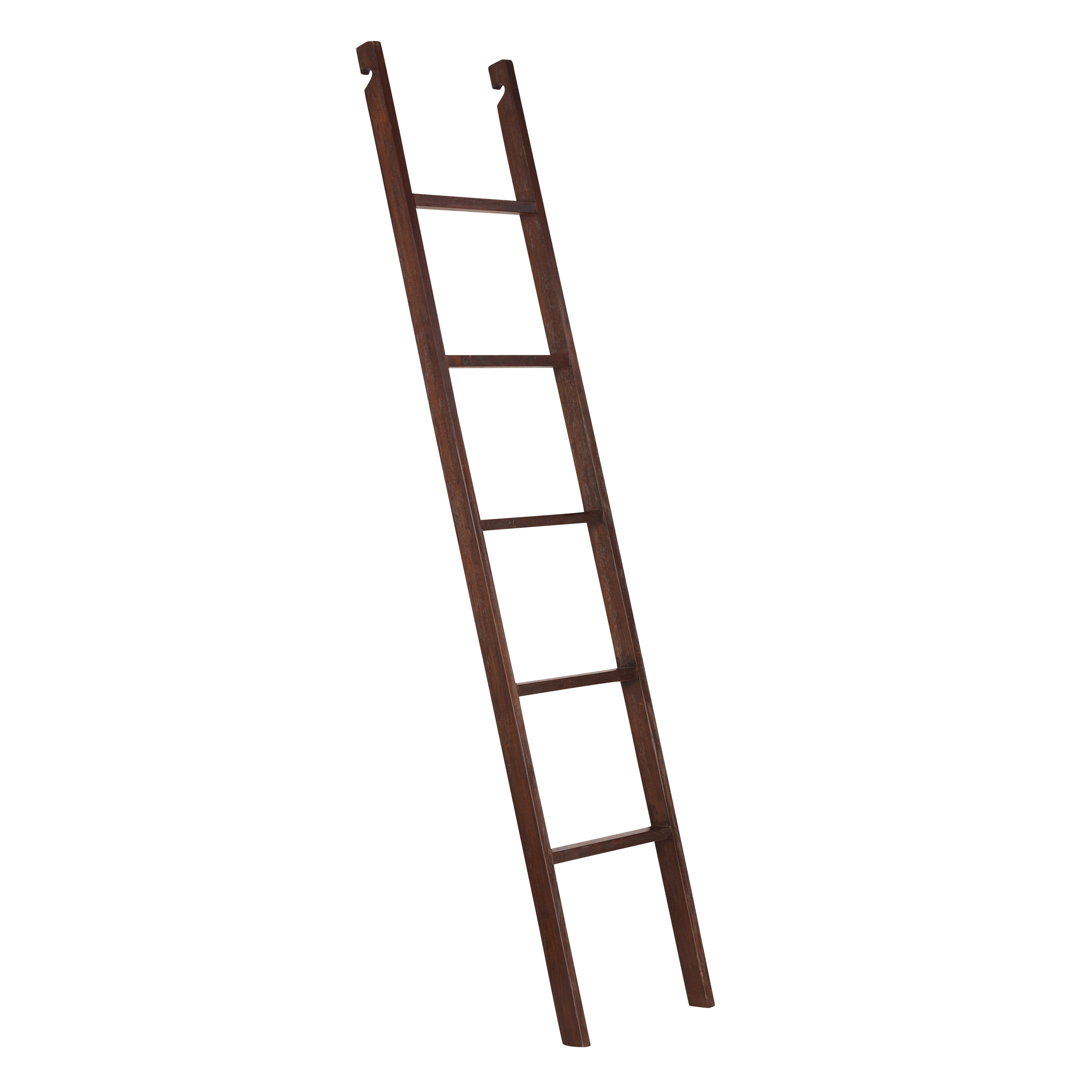 Augustus Wood Bookshelf Ladder - World Market