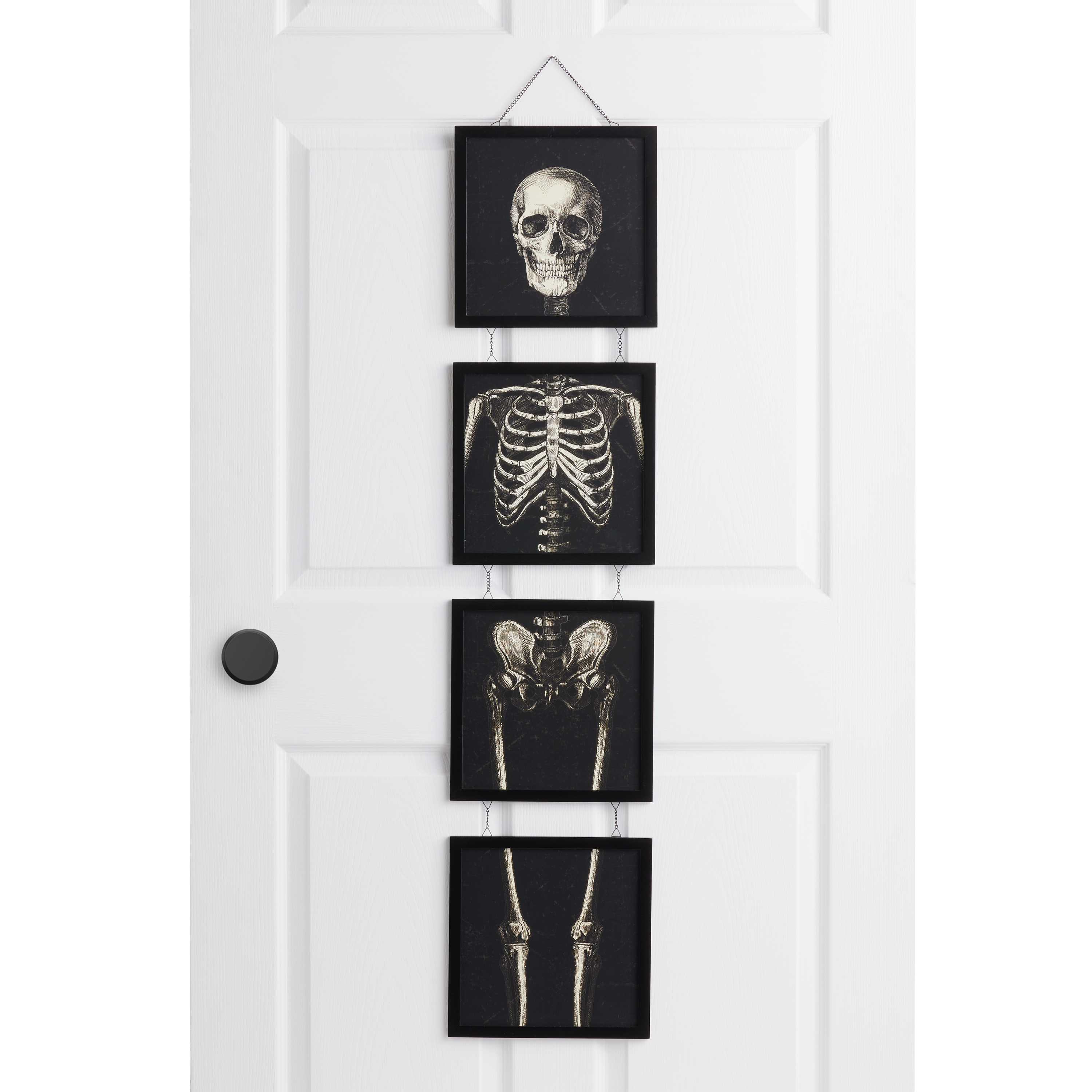 Anatomy Wall Art Set of 3, Brain, Lungs, Heart Medical Art Print – DiviArts  Studio