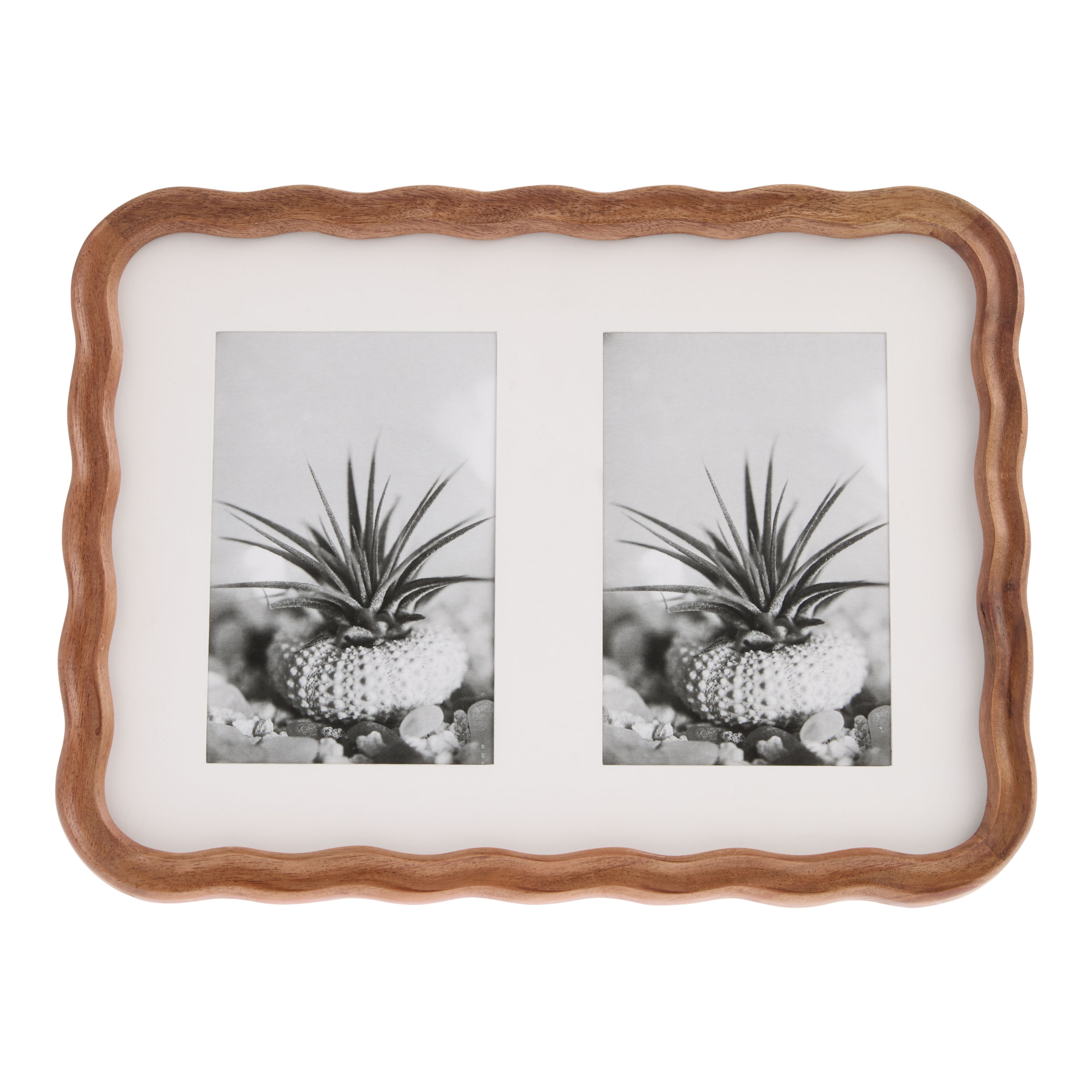 Walnut Acacia Wood Scalloped Wall Double Picture Frame - World Market