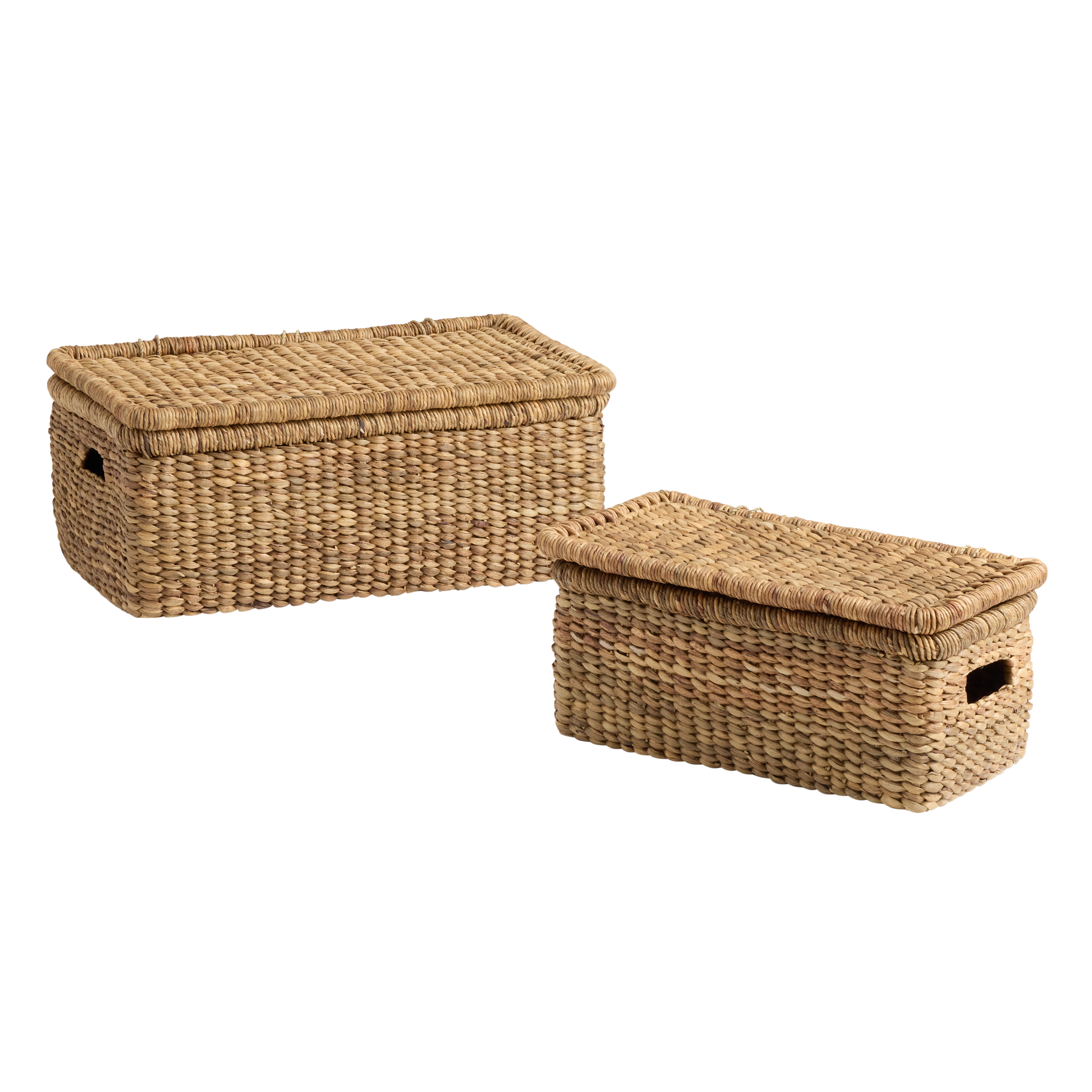 Natural Water Hyacinth Storage Trunk with Lid - World Market