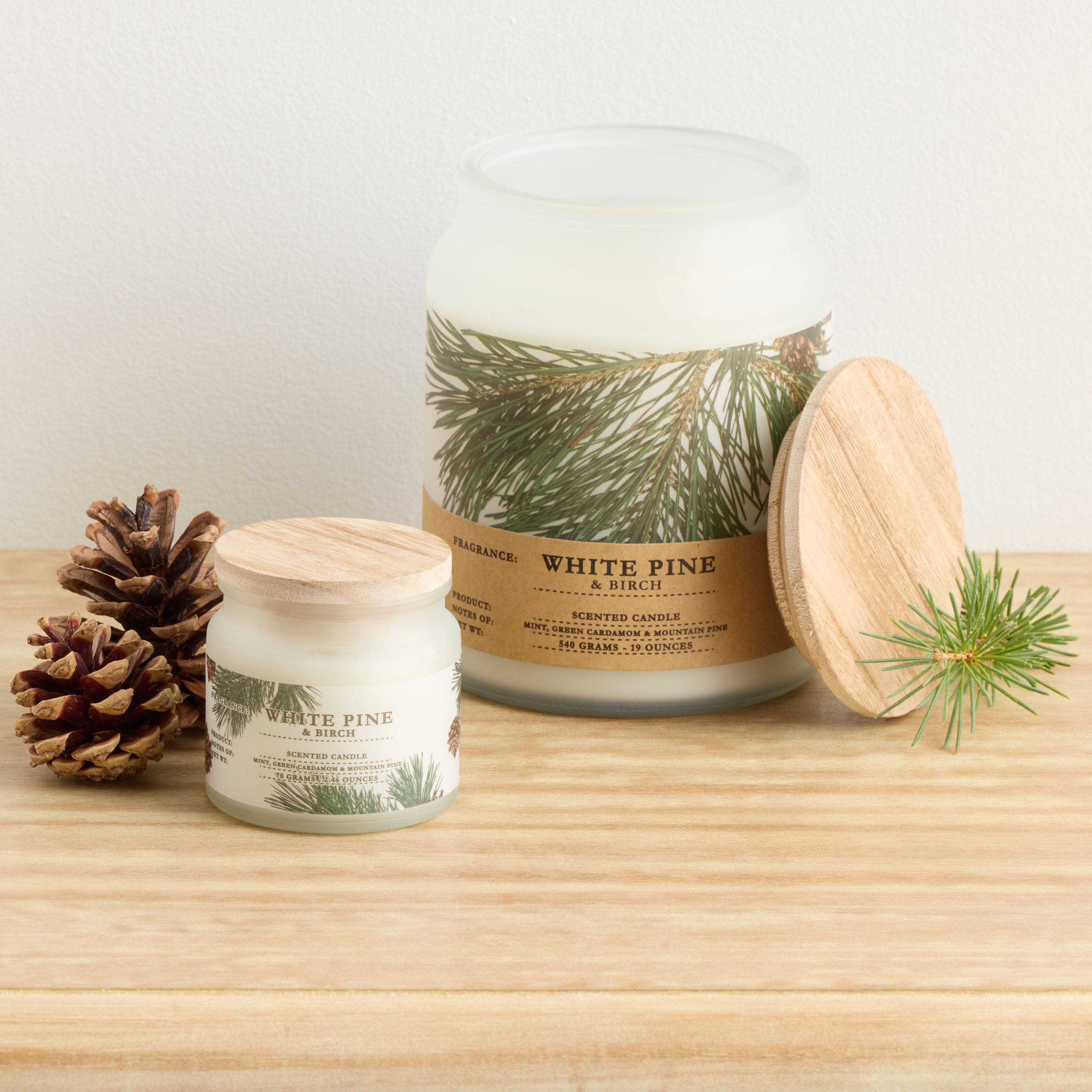 Winter Woodland White Pine & Birch Scented Candle - World Market