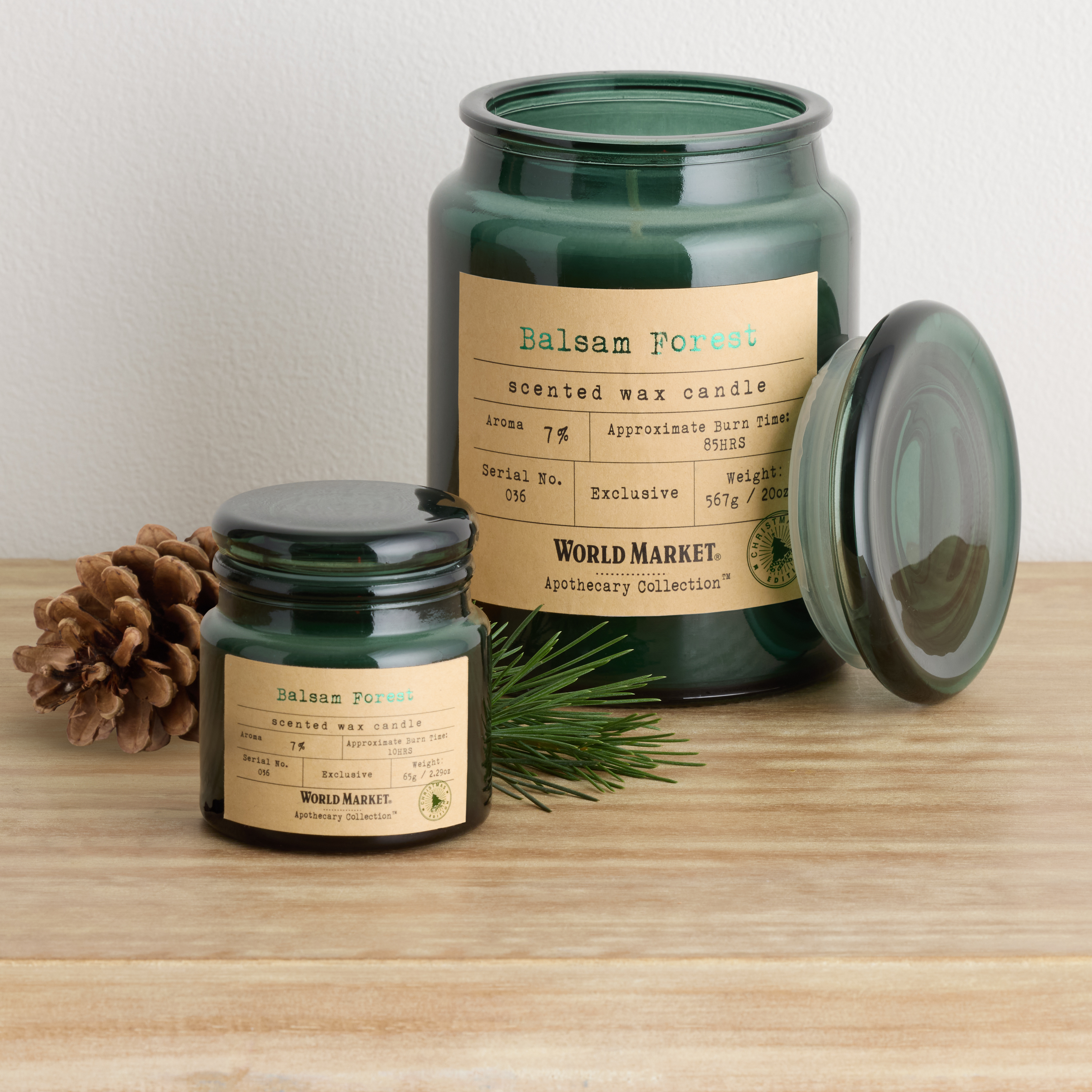 Apothecary Balsam Forest Scented Candle - World Market