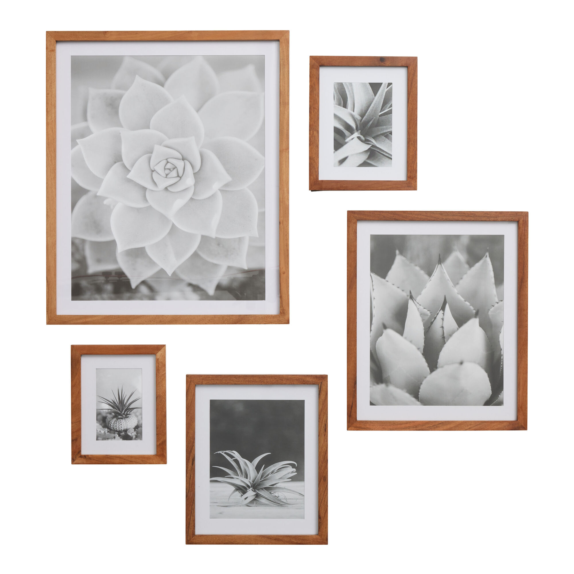 Handmade Natural Fiber Photo Frames (4x6 and 3x5) - Autumn Spirit